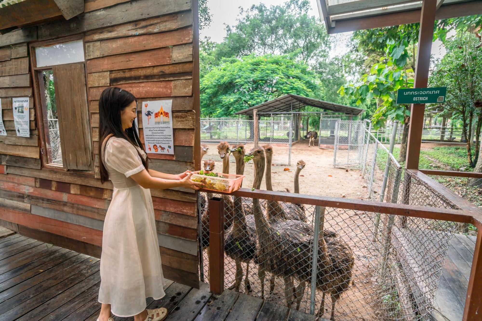 Horizon Village & Resort Doi Saket Exterior photo